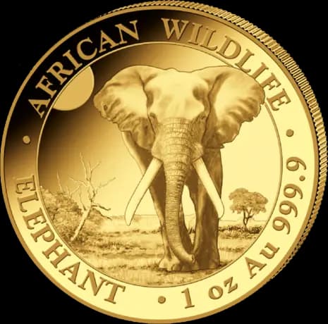 1 oz Somalia Elephant Gold Coin | 2025