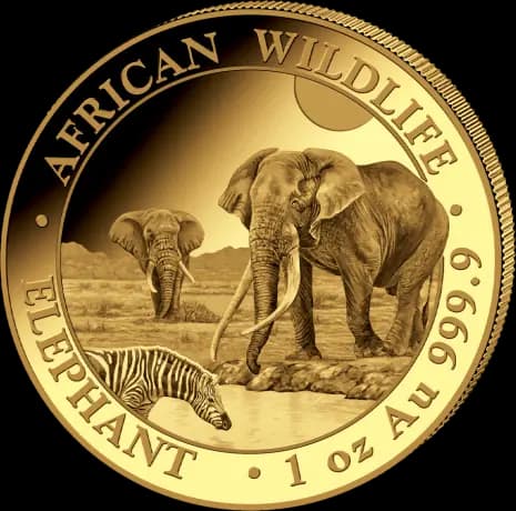 1 oz Somalia Elephant Gold Coin | 2026