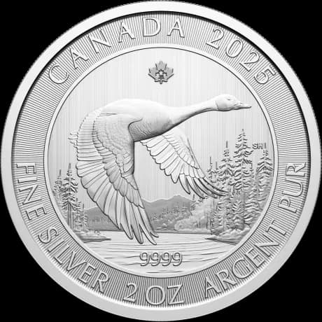 2 oz Canada Goose Silver Coin | 2025