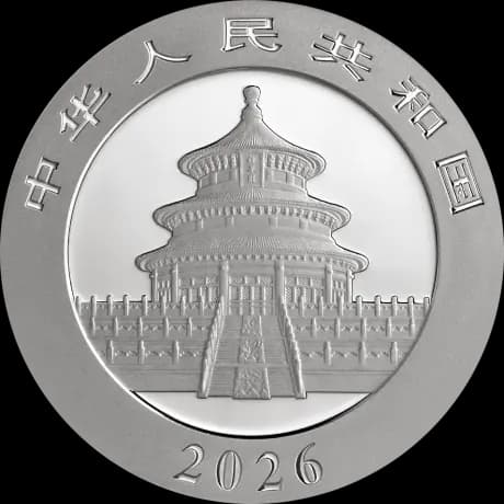 30g China Panda Silver Coin | Damaged