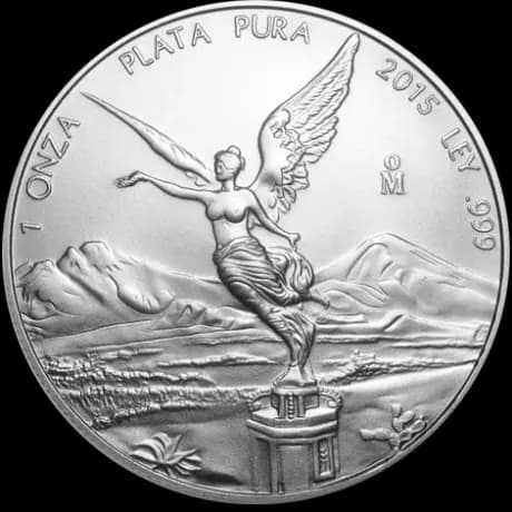 1 oz Mexican Libertad Silver Coin (mixed years)